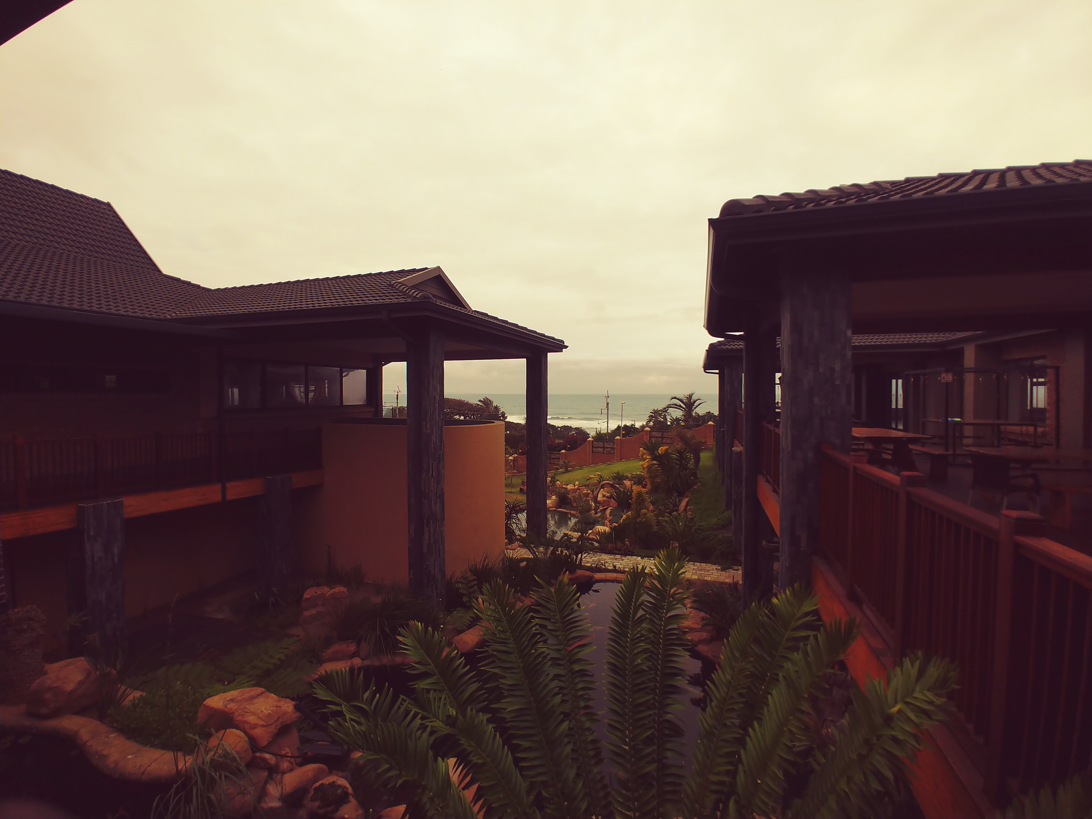 THE LAZY MOOSE, CLANSTHAL THE LAZY MOOSE, CLANSTHAL