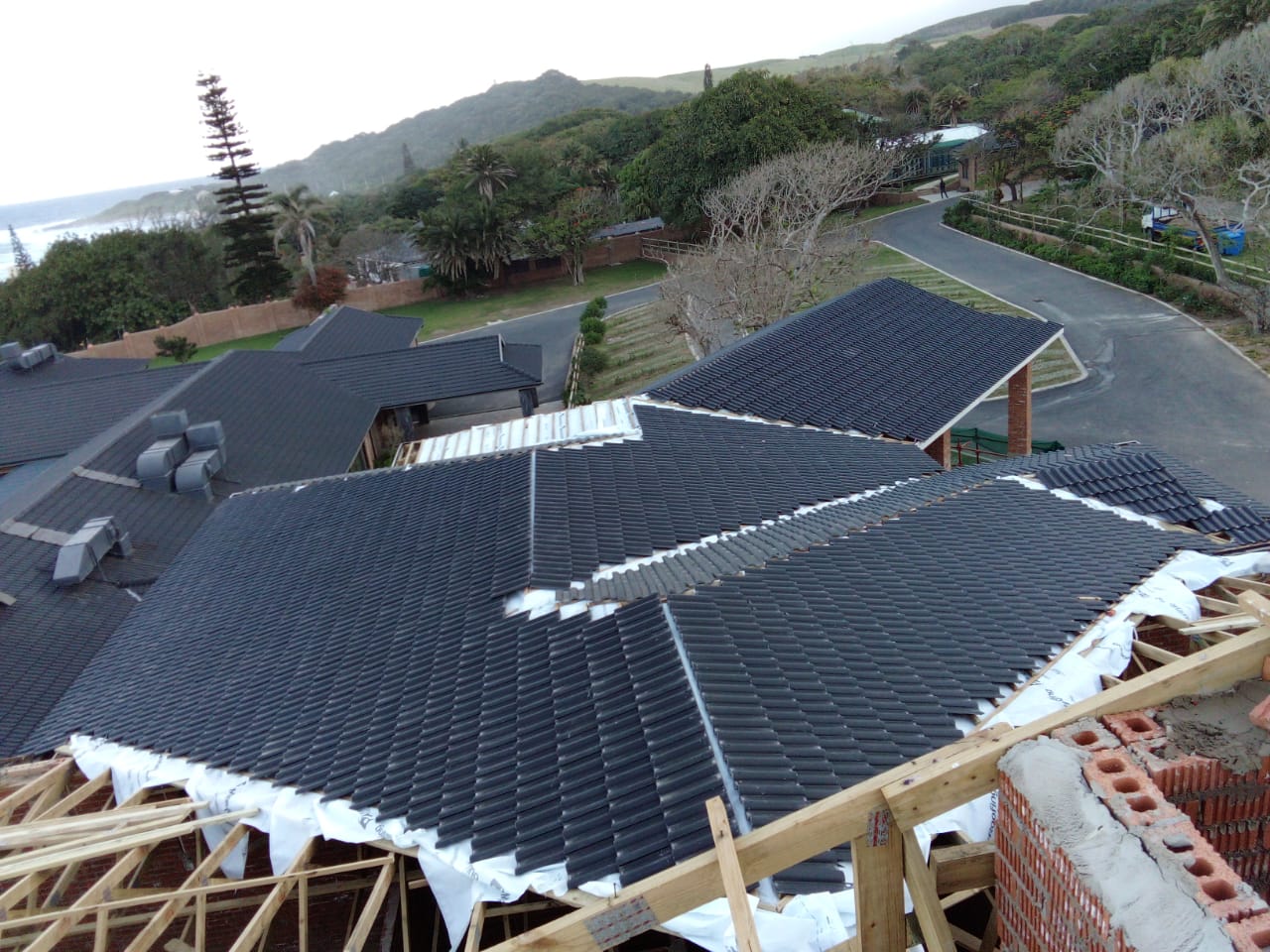 THE LAZY MOOSE, CLANSTHAL THE LAZY MOOSE, CLANSTHAL